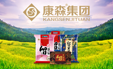 康森集團